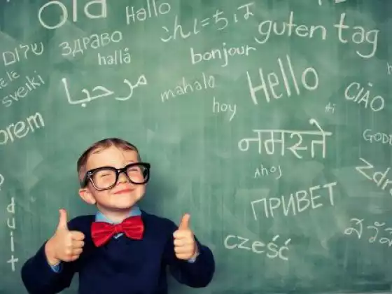 How to Learn a Language
