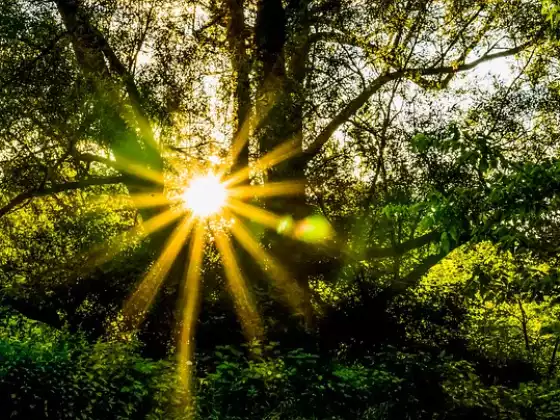 Restore Balance...Create a Grounding Practice