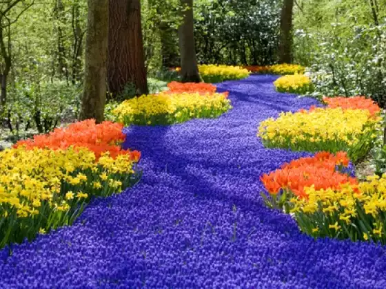 Letting Go of Not Enough Meditation 4