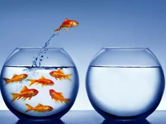 Letting Go of God Meditation 2