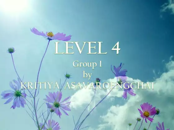 Level 4 - Group 1