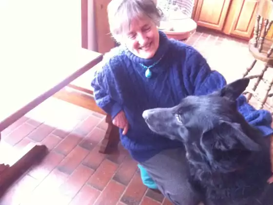 Healthy Animals Nurture Your Health