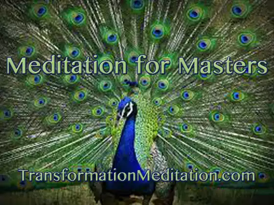 Meditation for Masters: Transformation Meditation (5 Sessions)