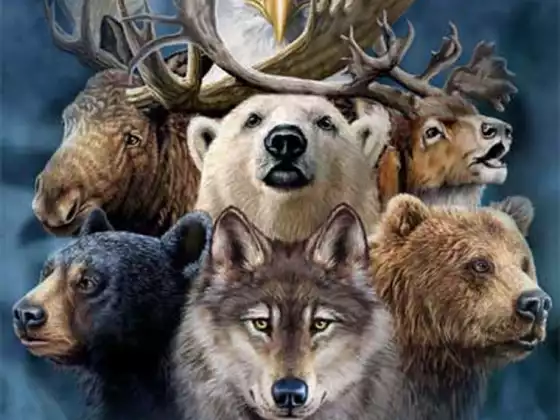 Spirit Animal Guides