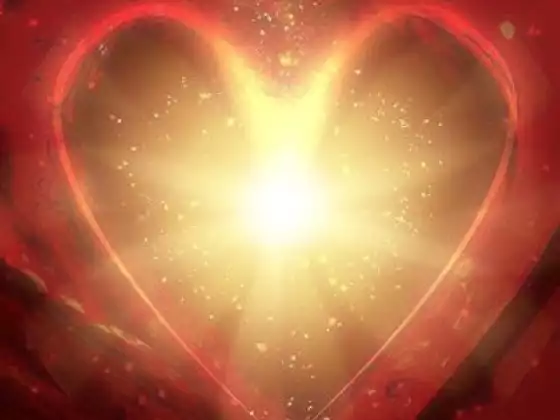 The Search for Love and Finding it Again