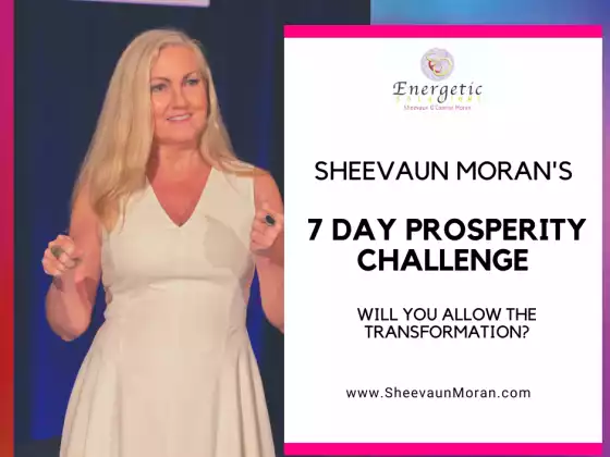 Sheevaun Moran's 7 Day Prosperity Challenge