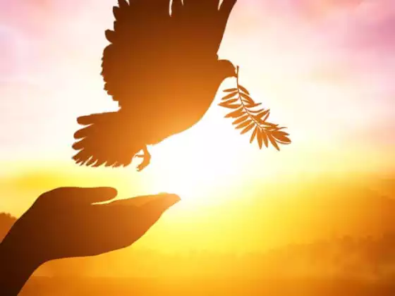 Align your earth mind and higher self for a peaceful and calm life