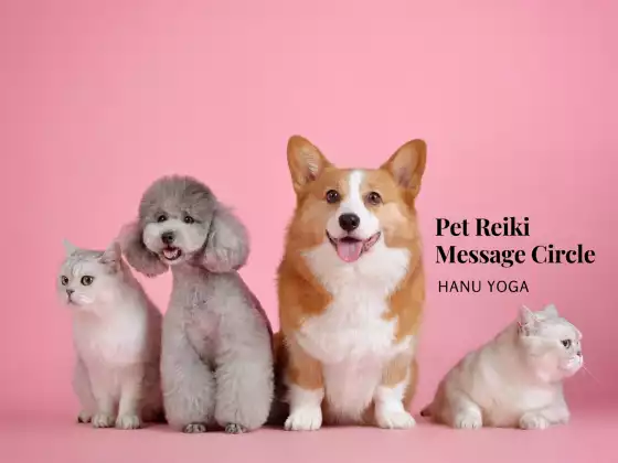 Pet Reiki Message Circle