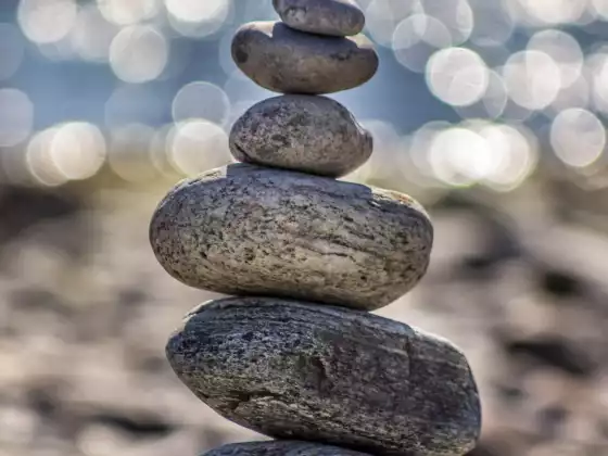 Understanding and Taking Control of Your Energy Levels Part II