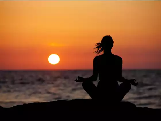 प्रकाश के वंश का परिचय