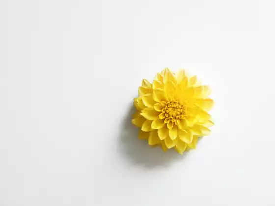 Perguntas e Respostas sobre Mestrado em Reiki