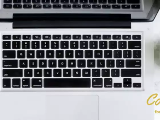 I-optimize ang Iyong Negosyo gamit ang Mga Blog