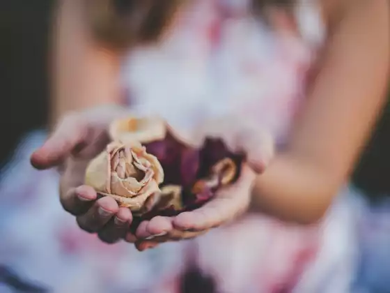 Fernheilung mit Reiki für 33 Minuten