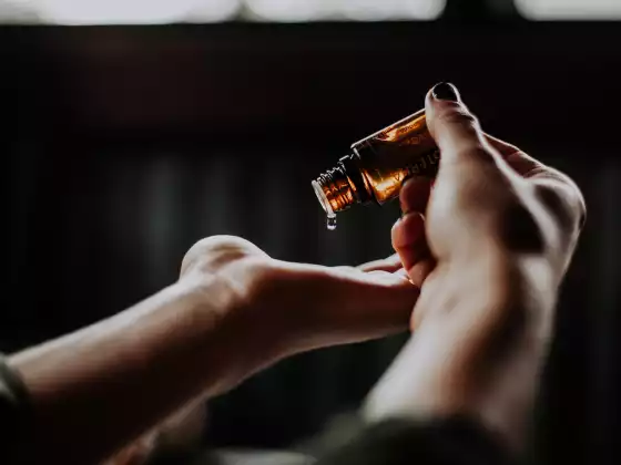 使用精油來提高你的頻率、意識 + 氛圍 = 和諧與彈性
