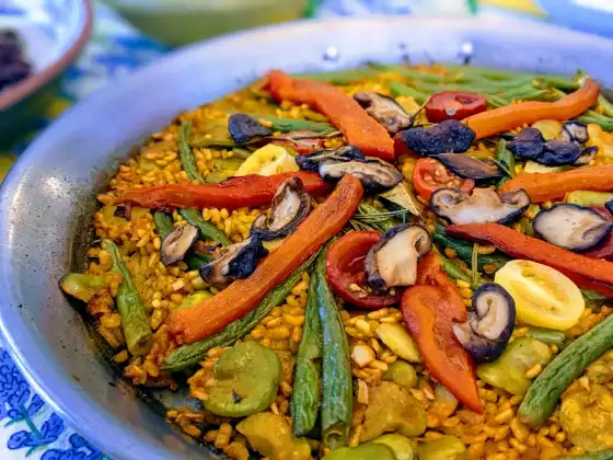 A Plant-Rich Trip to Provence