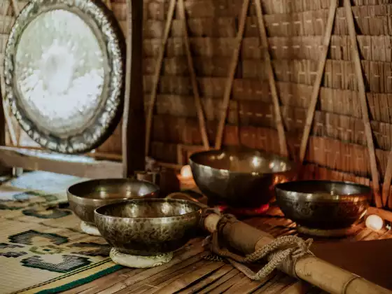 Wellness Coaching & Sound Healing
