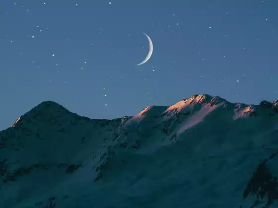 什麼是星際種子？