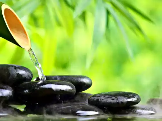 An introduction to Qigong