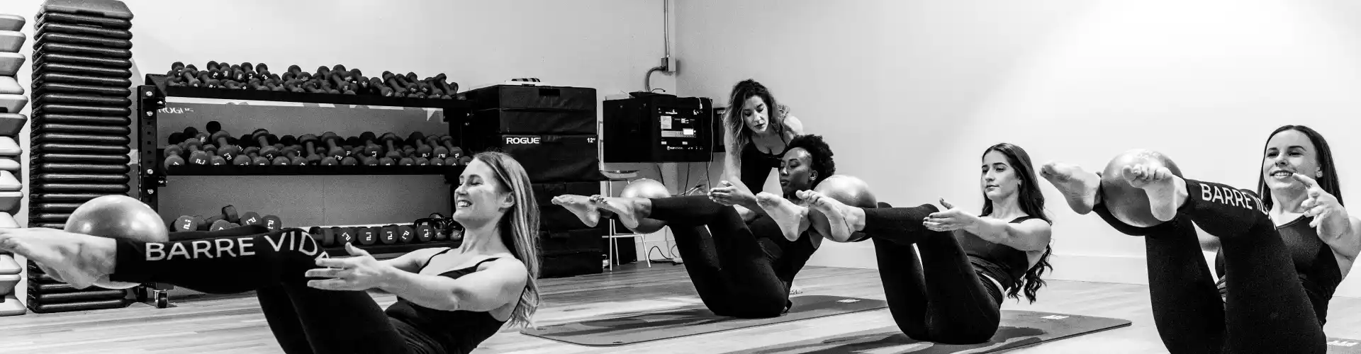 Barre Vida Classe Barre - Online Class by Joanna  Stone