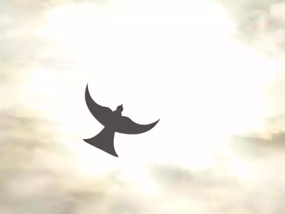 Spirituality "The Missing Link In Mental Wellness"