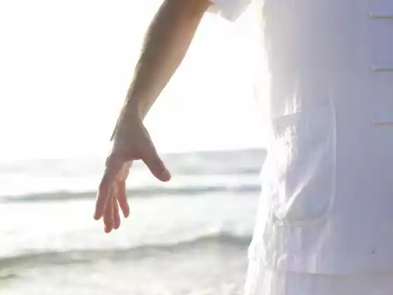 Μπροκάρ Qigong 8