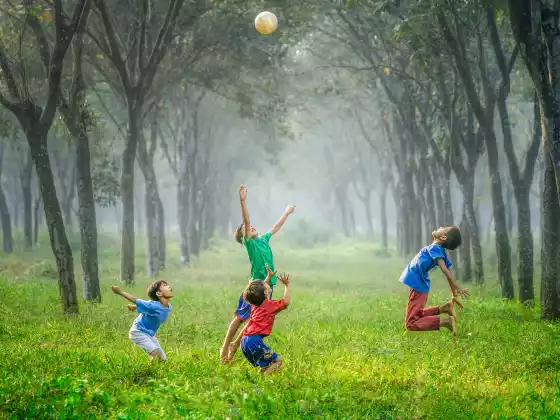 Protecting Innocence