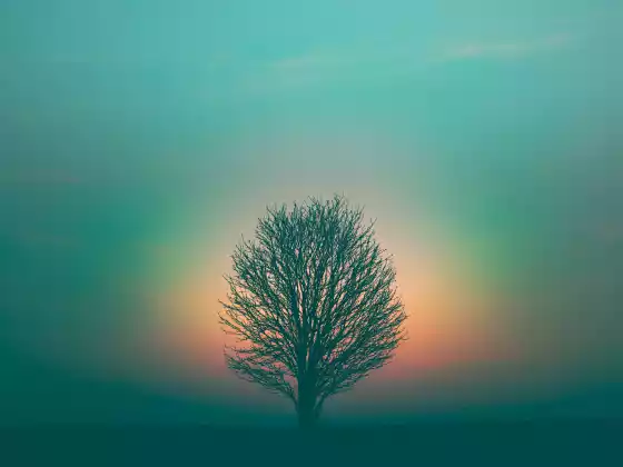Spiritual Ascension Sundays