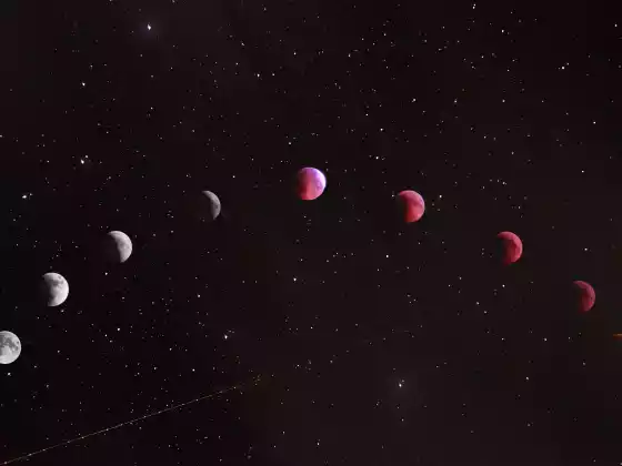 日食占星术
