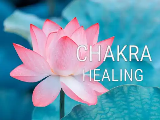 Healing your Chakras Series All 8 Classes