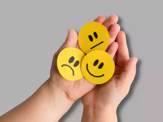 Emotional Intelligence and the Role in Leadership