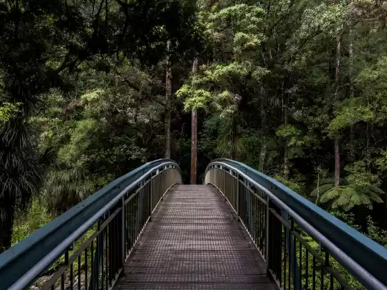 Five Ways to Open and Use Your Intuitive Pathways for Clarity & Decision-Making
