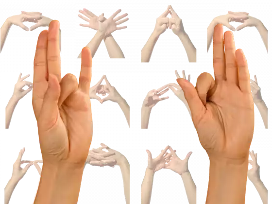 Mistik Mudralar: Aylık Reiki/Yoga Füzyon Atölyesi Serisi