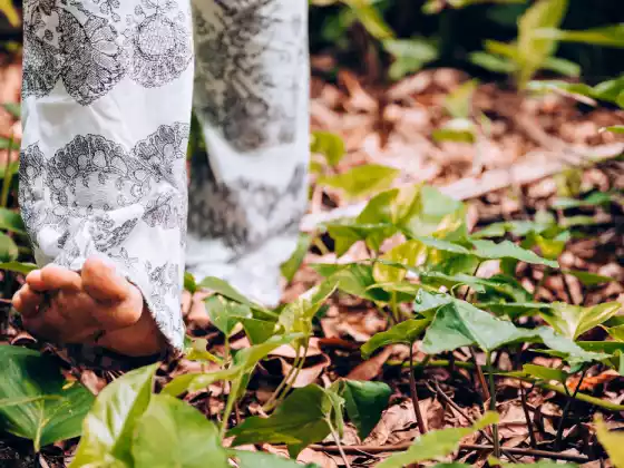 NatureSoul Odyssey : une promenade écothérapeutique virtuelle