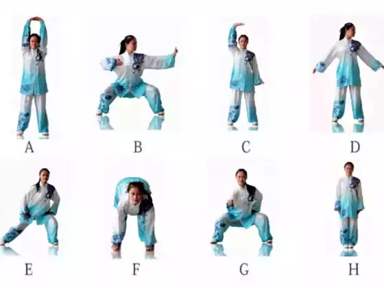 Μπροκάρ 25 λεπτών Qigong 8 Silk