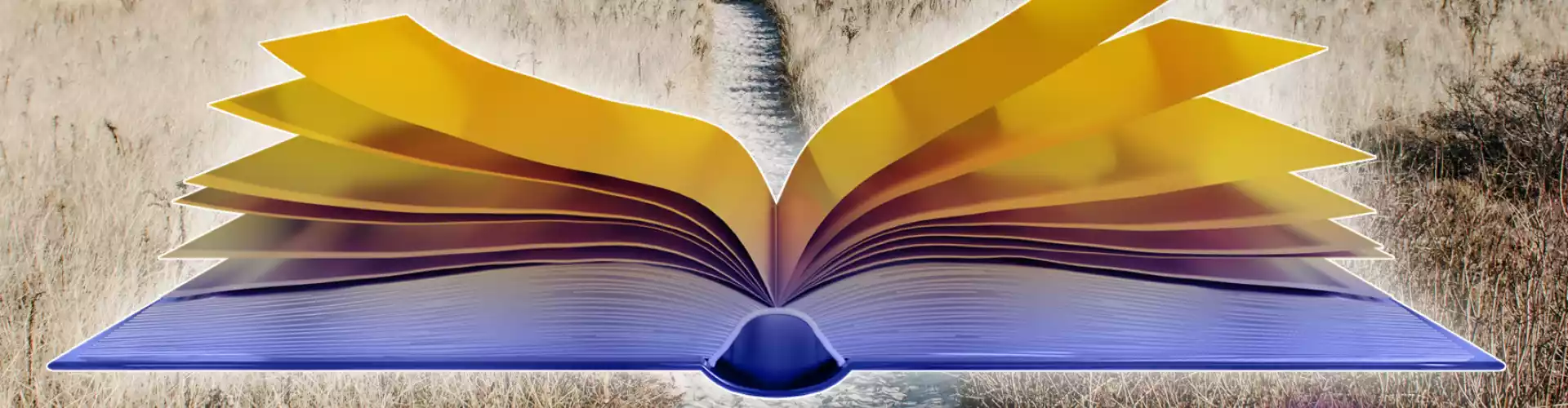 Paano Simulan ang Iyong Paglalakbay sa The Akashic Records Live Q & A Session/ Suriin ang Karagdagang Impormasyon - Online Class by Anika Ray