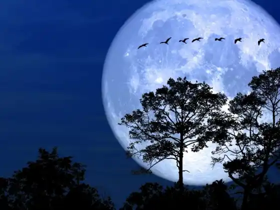 Full Moon Meditation 
