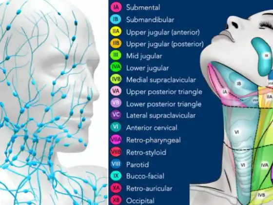 Drainase Limfatik Manual Kepala dan Leher