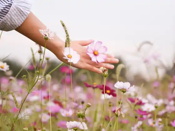 Cuối tuần học Reiki Mastership