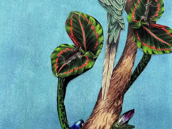 Becoming a Visionary Releasing Hopelessness