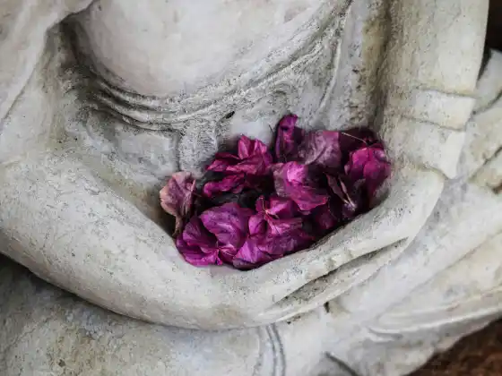 दिव्य मार्गदर्शन जागृत करने के लिए ऊर्जा उपचार