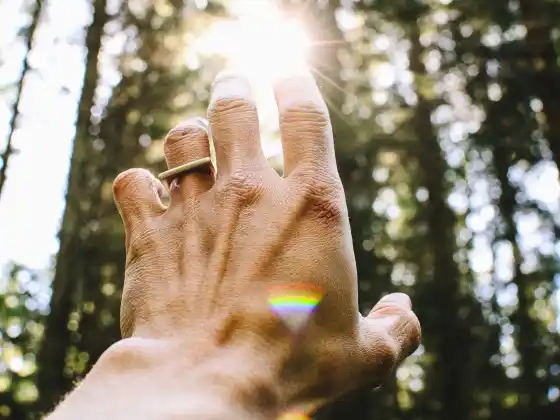 Reiki 1. szint