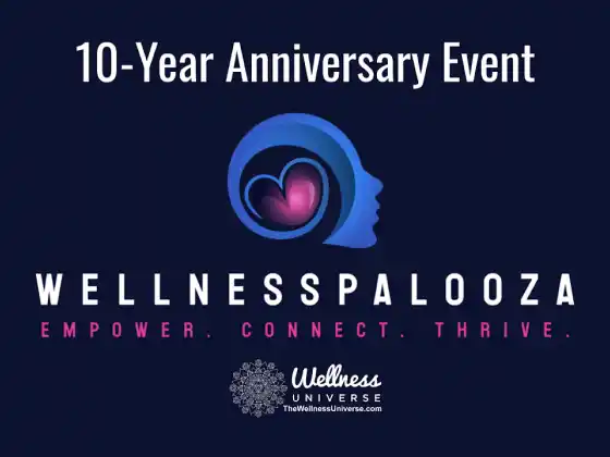 健康宇宙 Wellnesspalooza 2025 