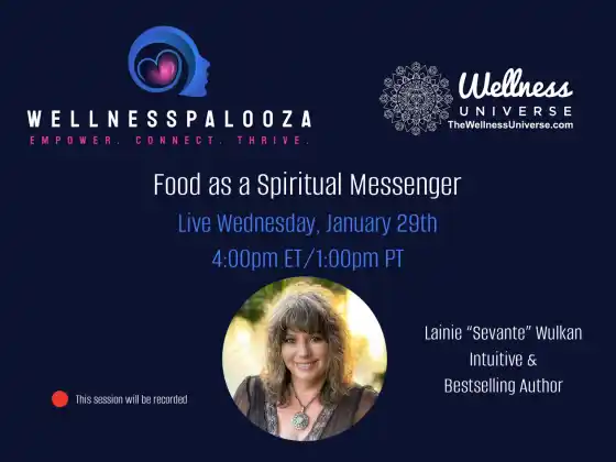 Wellnesspalooza 2025 Food as a Spiritual Messenger with Lainie Wulkan