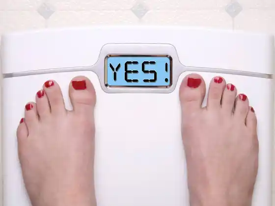 의지력의 과학
