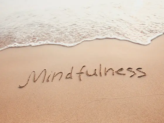 Série Mindfulness