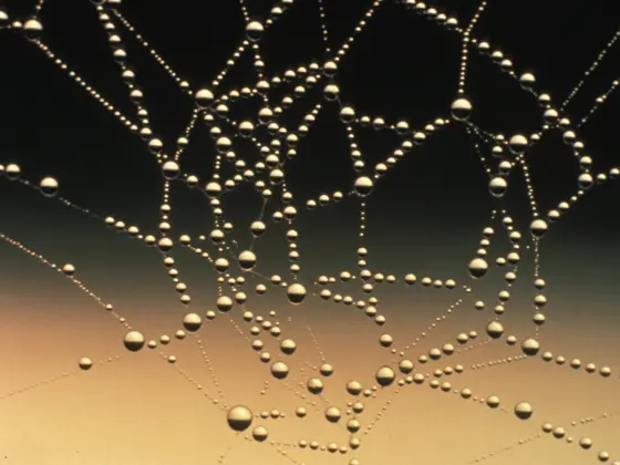 Cerimonia dell'equinozio d'autunno - Connettiti alla tua comunità